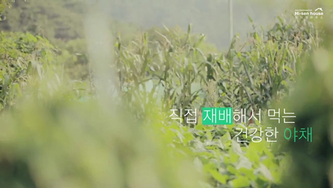 하이센하우스 인터뷰 영상 상세 이미지 4