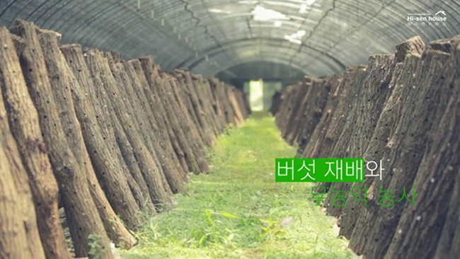하이센하우스 인터뷰 영상 상세 이미지 4