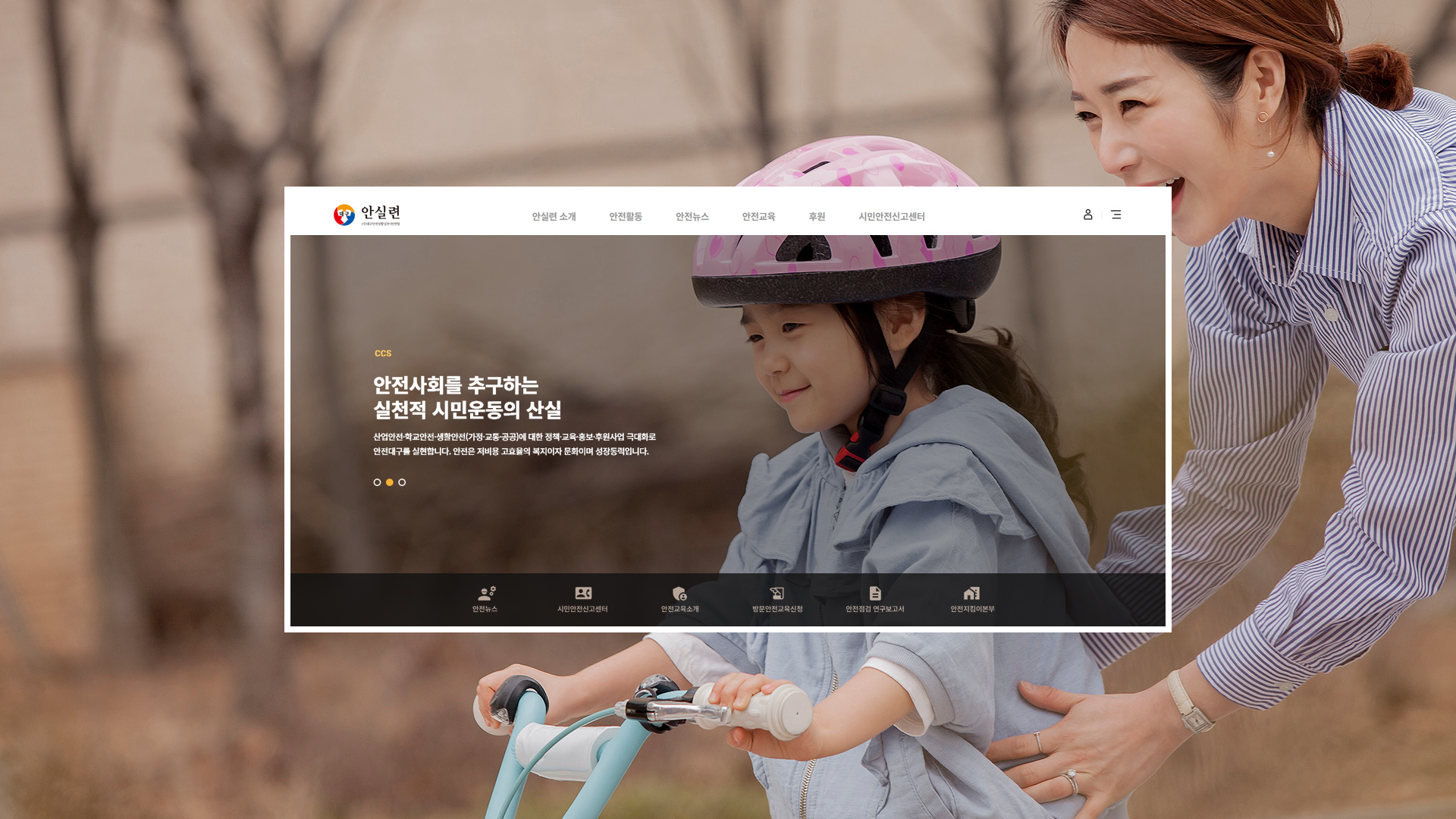 대구 안실련 반응형 웹사이트